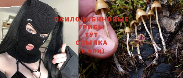 скорость Богородск