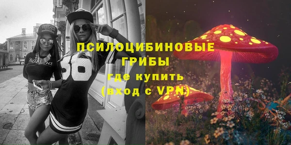дживик Богданович