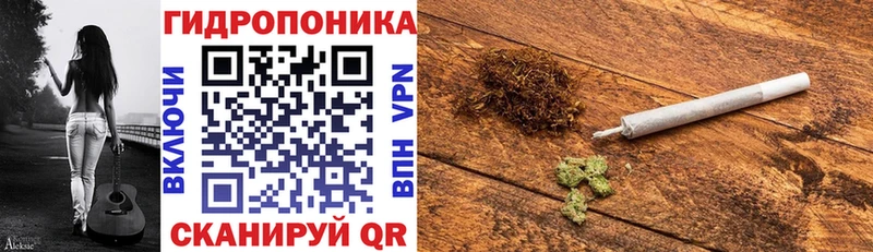 Шишки марихуана индика  Майкоп 